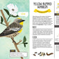 Kid’s Guide to Backyard Birds