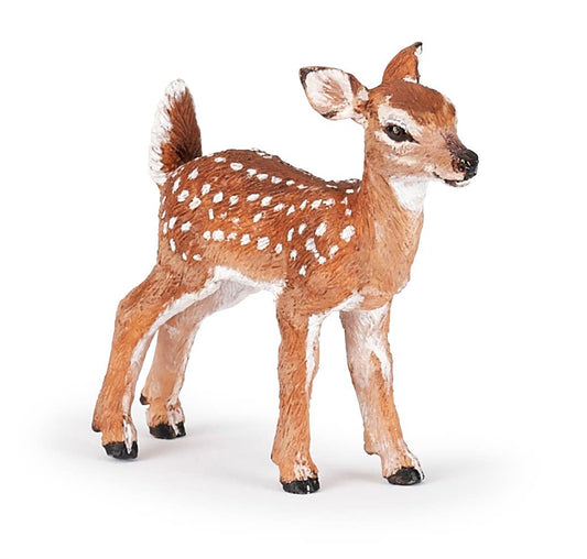 Fawn