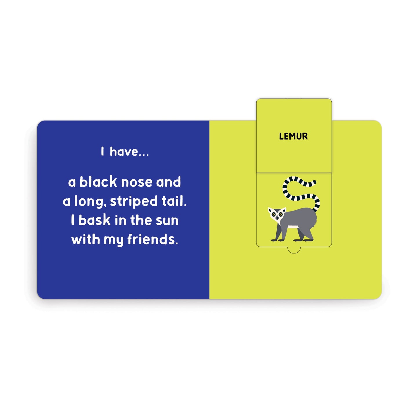 Jungle Tracks Lift-the-Flap Board Book