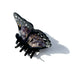 Hand-painted Limited Edition Monarch Butterfly Claw Clip