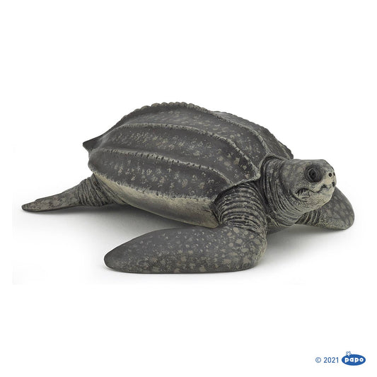 Leatherback Turtle