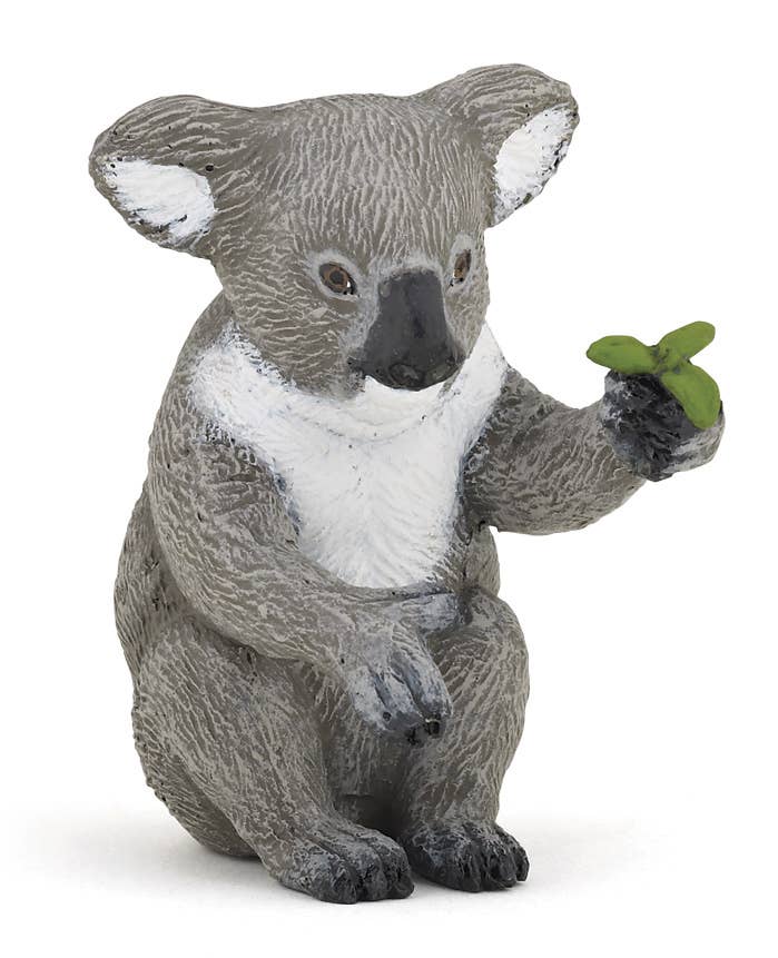 Koala Bear