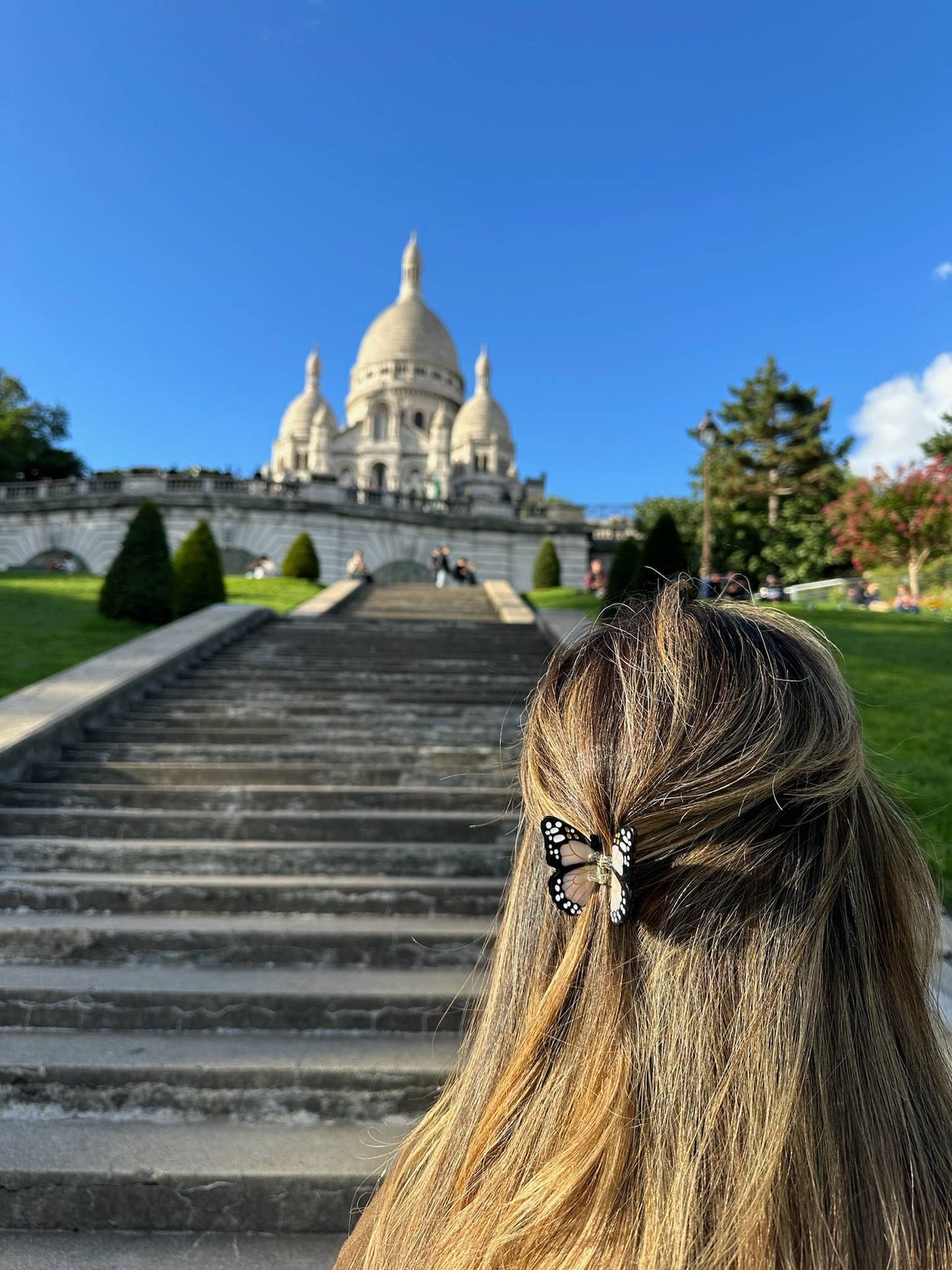 Hand-painted Mini Monarch Claw Hair Clip | Eco-Friendly