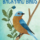 Kid’s Guide to Backyard Birds