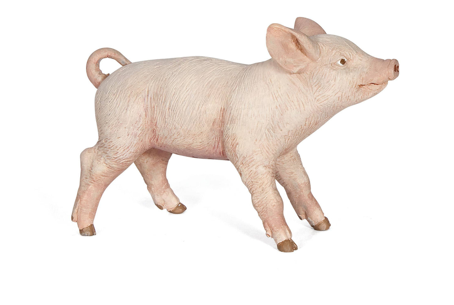 Female Piglet