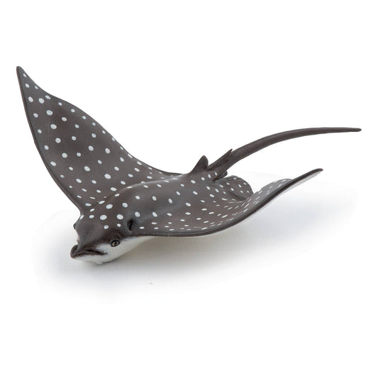 Spotted Eagle Ray