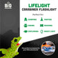 LifeLight Animal Carabiner Flashlight - Green Lizard