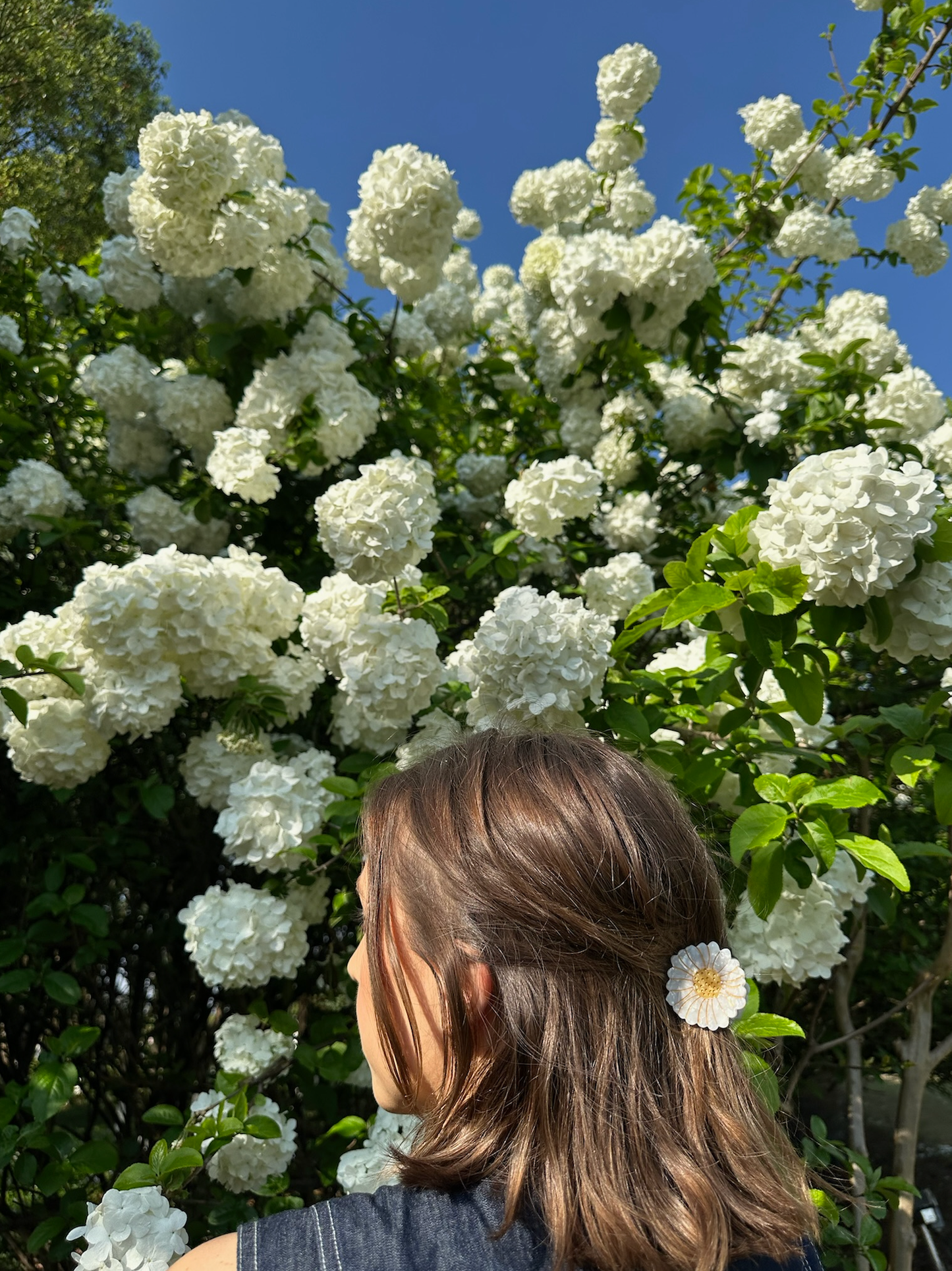 Hand-painted Mini Daisy Claw Hair Clip | Eco-Friendly