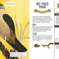 Kid’s Guide to Backyard Birds