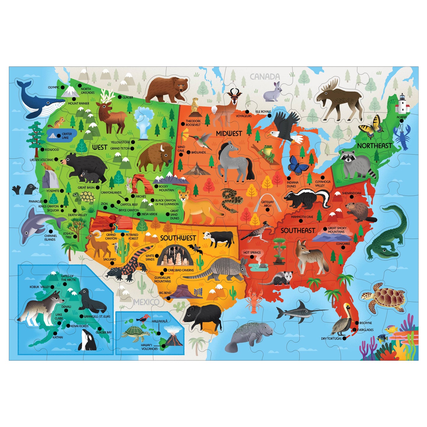 Little Park Ranger National Parks Map of the U.S.A. Puzzle