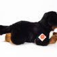 Bernese Mountain Dog lying 40 cm - plush toy - soft toy